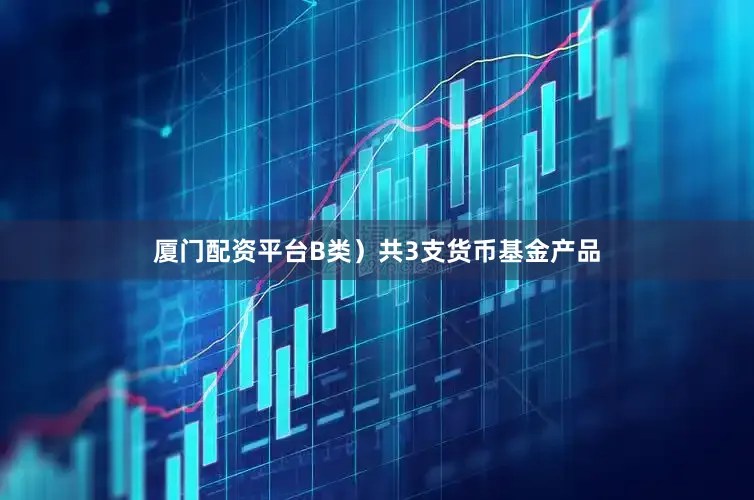 厦门配资平台B类）共3支货币基金产品