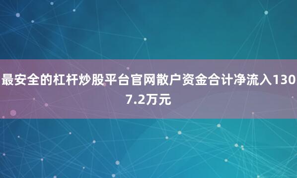 最安全的杠杆炒股平台官网散户资金合计净流入1307.2万元