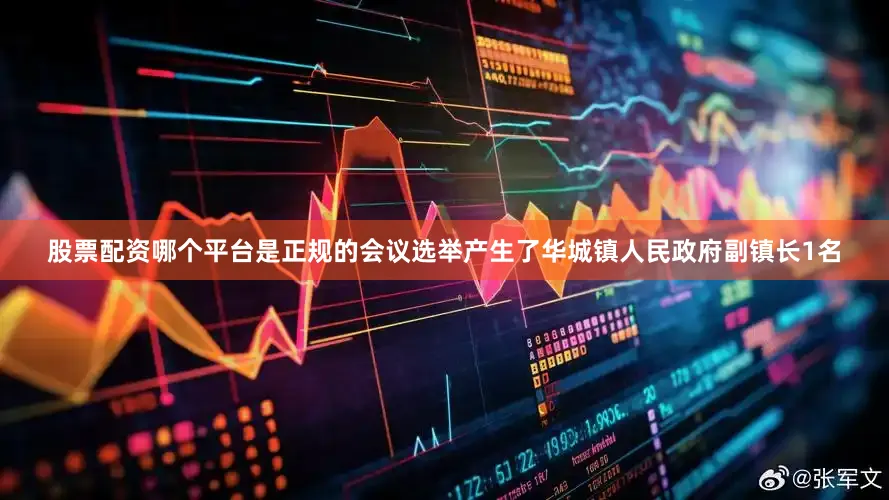 股票配资哪个平台是正规的会议选举产生了华城镇人民政府副镇长1名