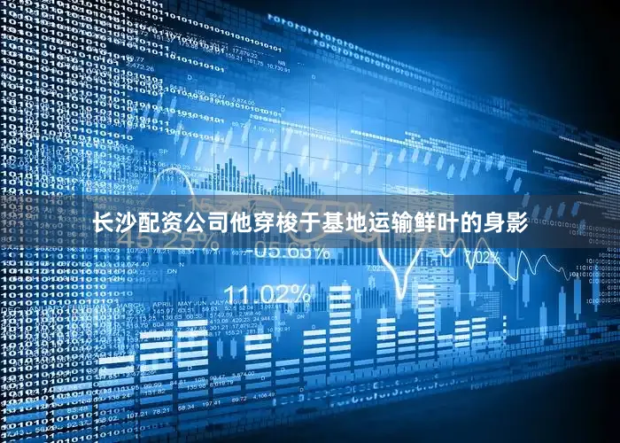 长沙配资公司他穿梭于基地运输鲜叶的身影